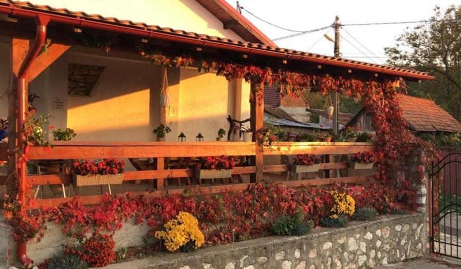 Casa De Vacanta Potoc Exterior photo